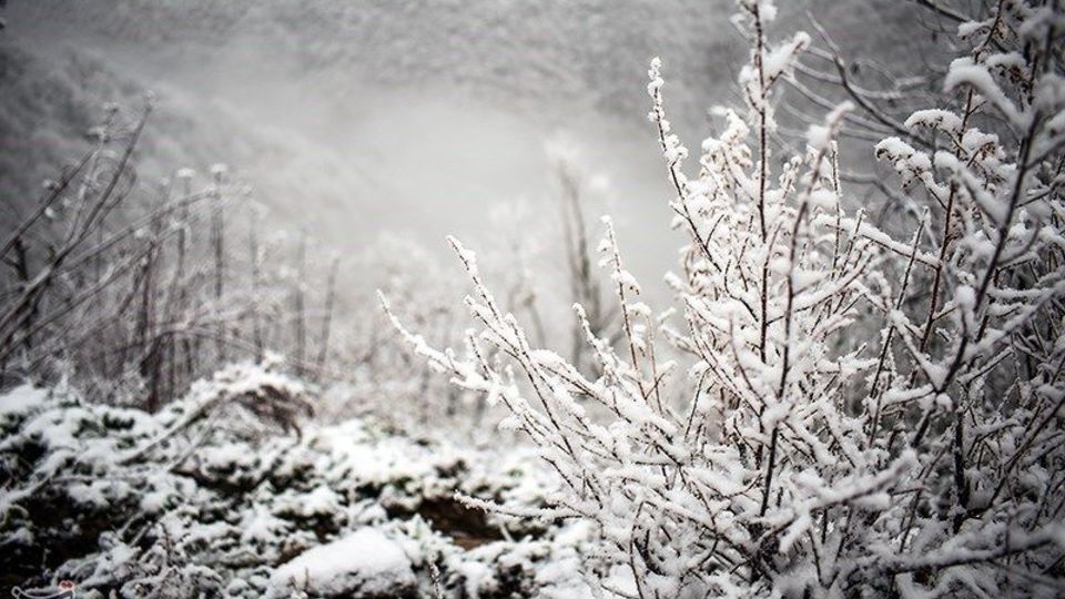  بارش برف در ارتفاعات گیلان 