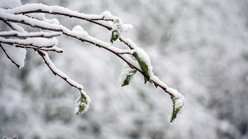  بارش برف در ارتفاعات گیلان 