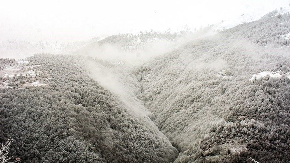  بارش برف در ارتفاعات گیلان 