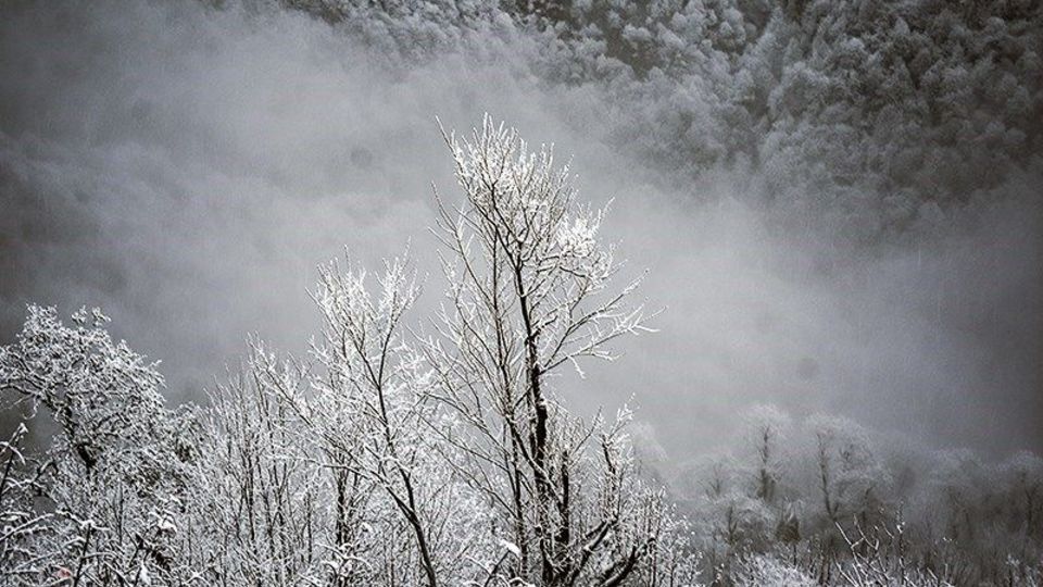  بارش برف در ارتفاعات گیلان 