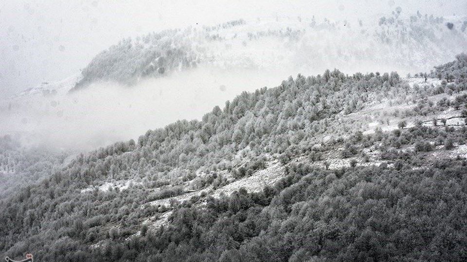  بارش برف در ارتفاعات گیلان 