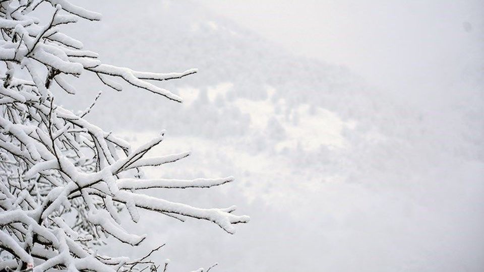  بارش برف در ارتفاعات گیلان 