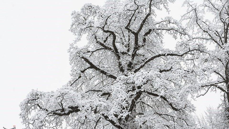  بارش برف در ارتفاعات گیلان 