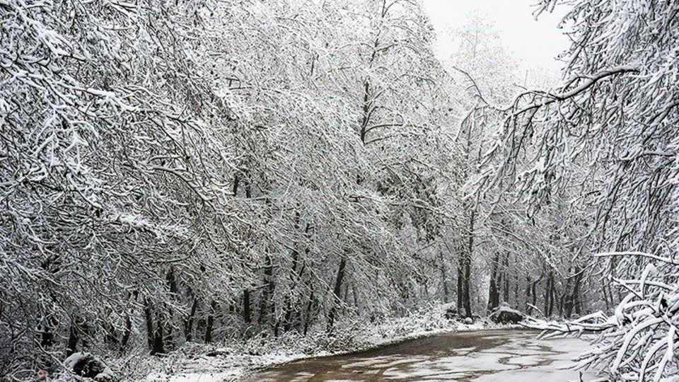  بارش برف در ارتفاعات گیلان 