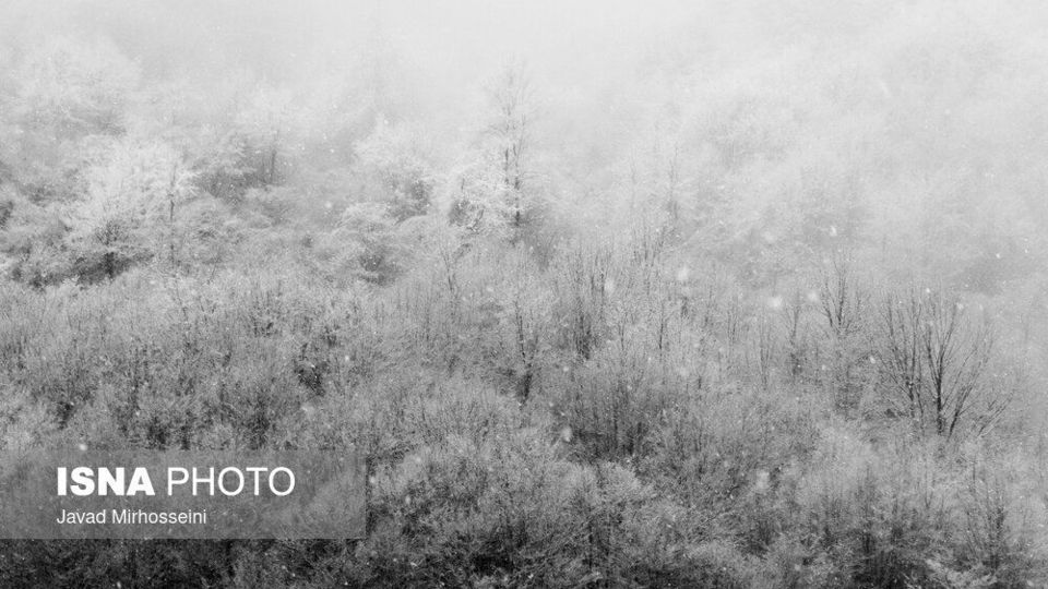 سفید پوش شدن ارتفاعات گیلان