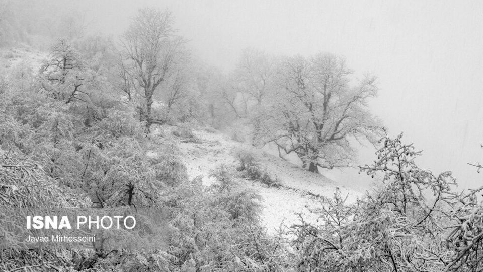 سفید پوش شدن ارتفاعات گیلان