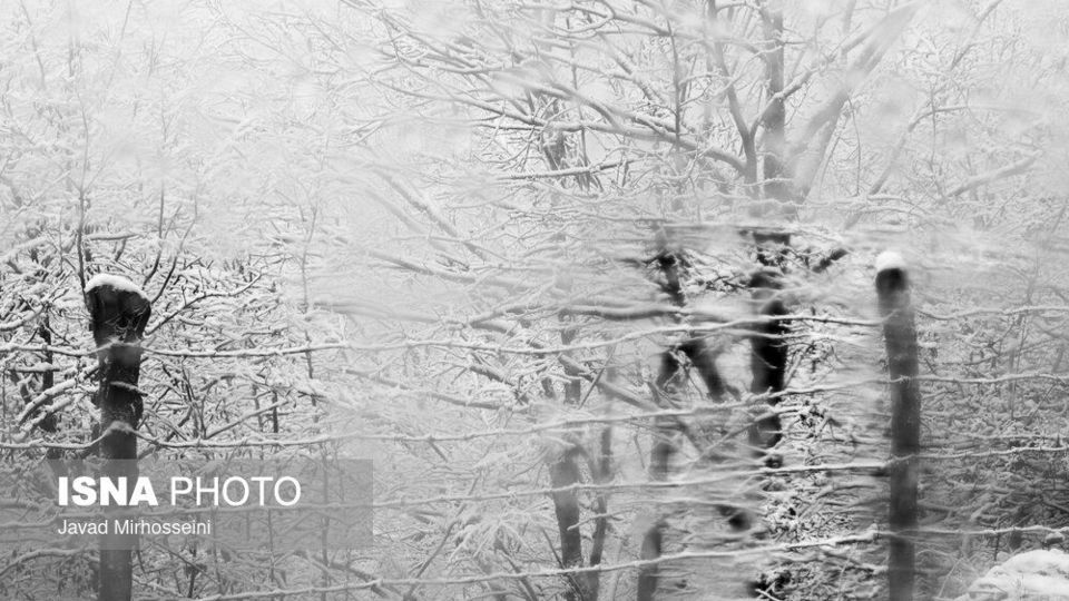 سفید پوش شدن ارتفاعات گیلان