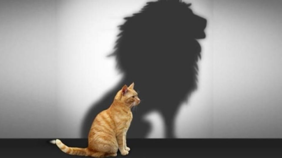 شکست یک تصویر سازی موهوم شکست یک تصویر سازی موهوم