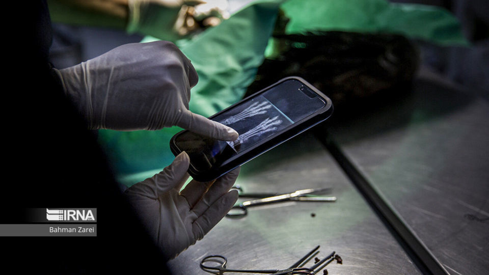 بیمارستان حیوانات