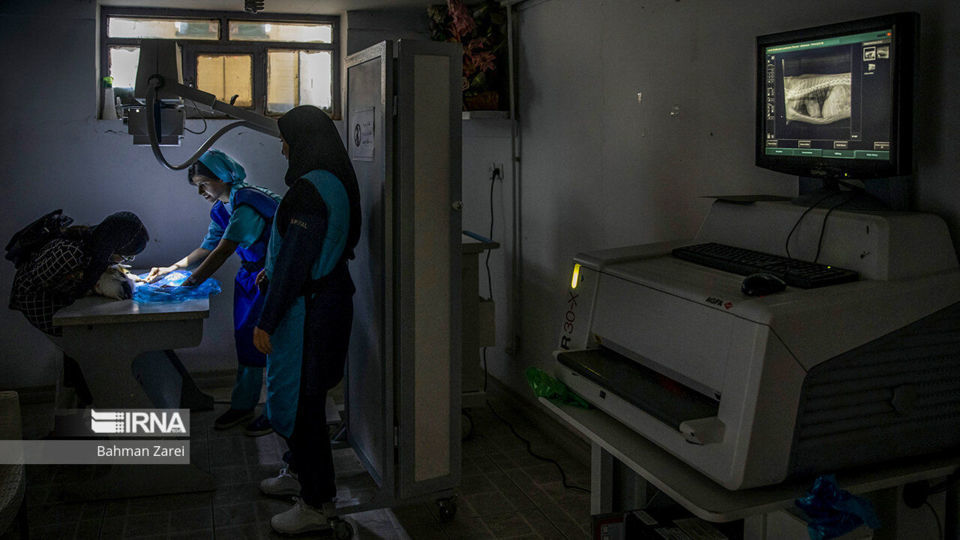 بیمارستان حیوانات