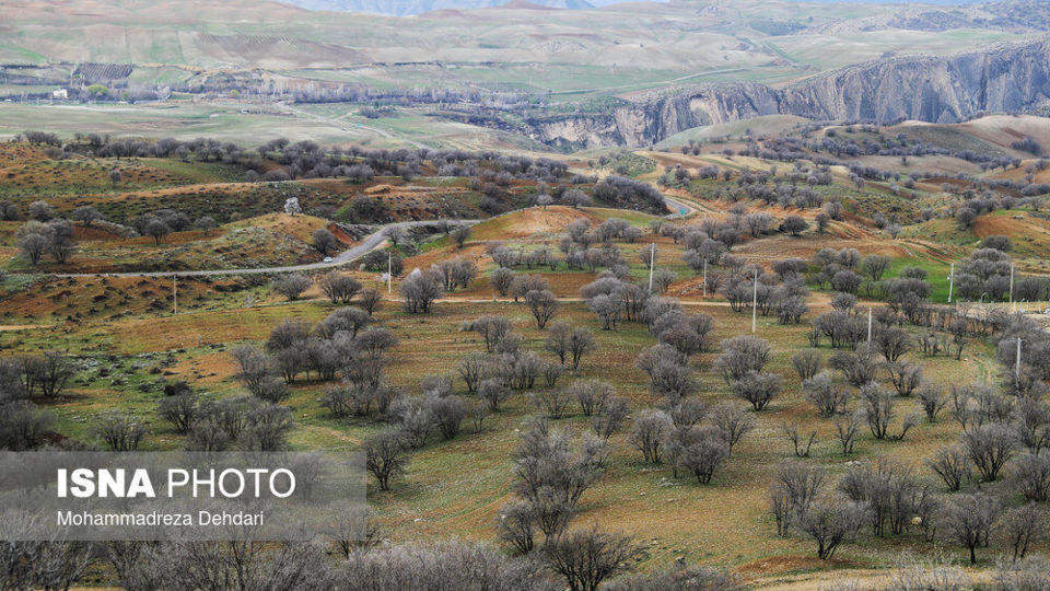 زمستان بَهاری در فارس