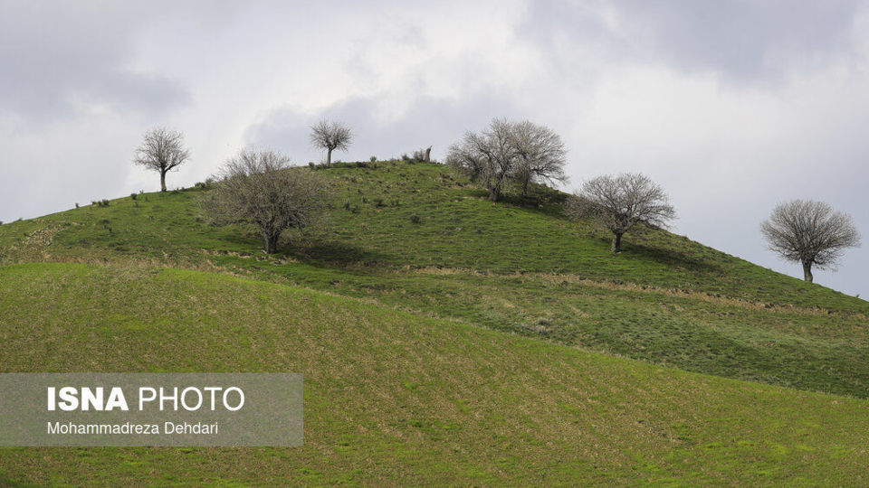زمستان بَهاری در فارس