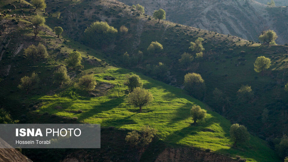 طبیعت بهاری چهارمحال و بختیاری