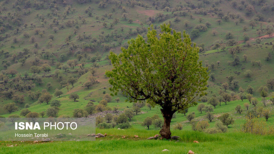 طبیعت بهاری چهارمحال و بختیاری