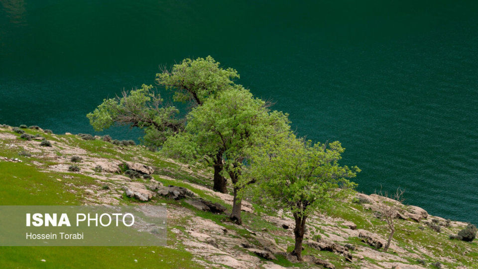 طبیعت بهاری چهارمحال و بختیاری