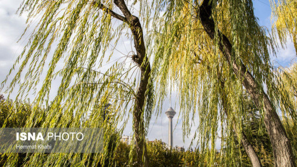 تداوم وزش باد درتهران/ افزایش دما از فردا تداوم وزش باد درتهران/ افزایش دما از فردا