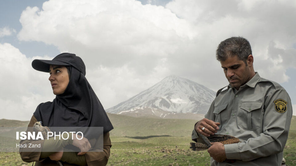 آزادسازی پرندگان در پارک ملی لار