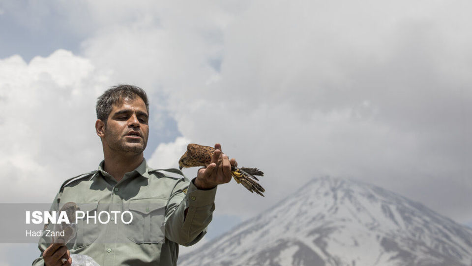 آزادسازی پرندگان در پارک ملی لار