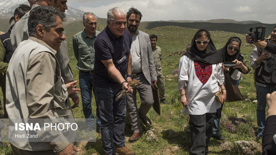 آزادسازی پرندگان در پارک ملی لار