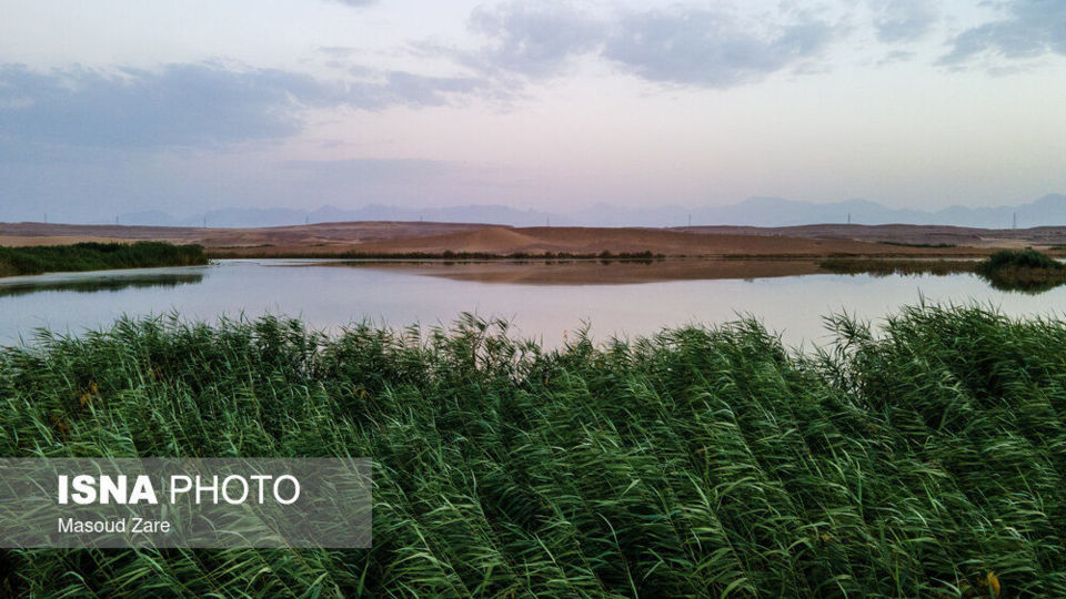 جاذبه‌ای غیر طبیعی در دل کویر