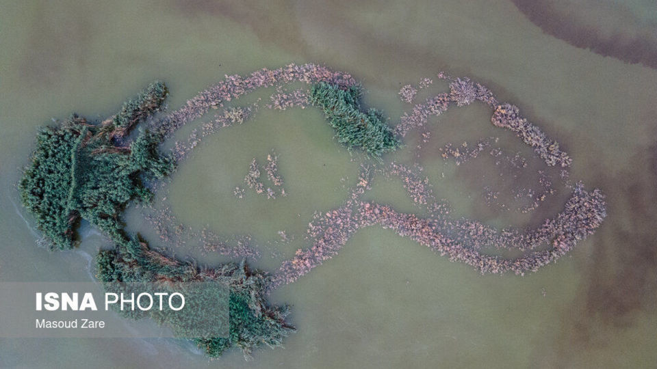 جاذبه‌ای غیر طبیعی در دل کویر