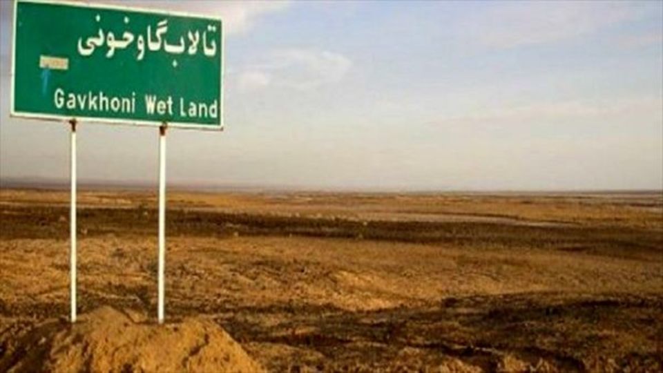 ۹۹ درصد تالاب گاوخونی خشک شد/ خزان درختان در نوار زایندهرود ۹۹ درصد تالاب گاوخونی خشک شد/ خزان درختان در نوار زایندهرود