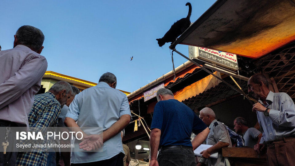 گوشه به گوشه ایران؛ رودسر