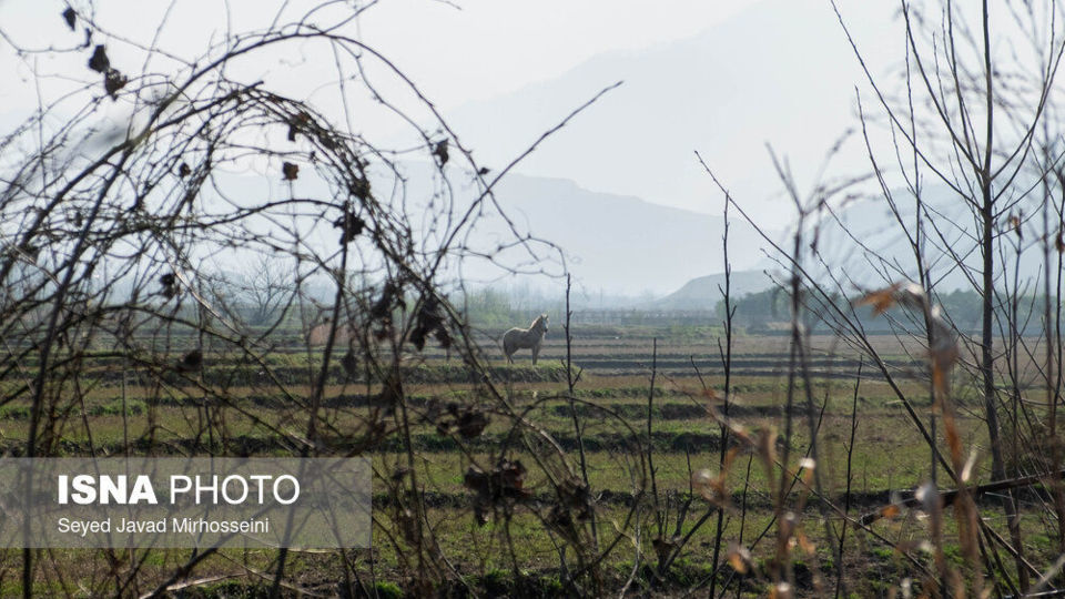 گوشه به گوشه ایران؛ رودسر