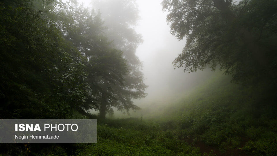 دِلیر، تجربه چهار فصل در یک روز