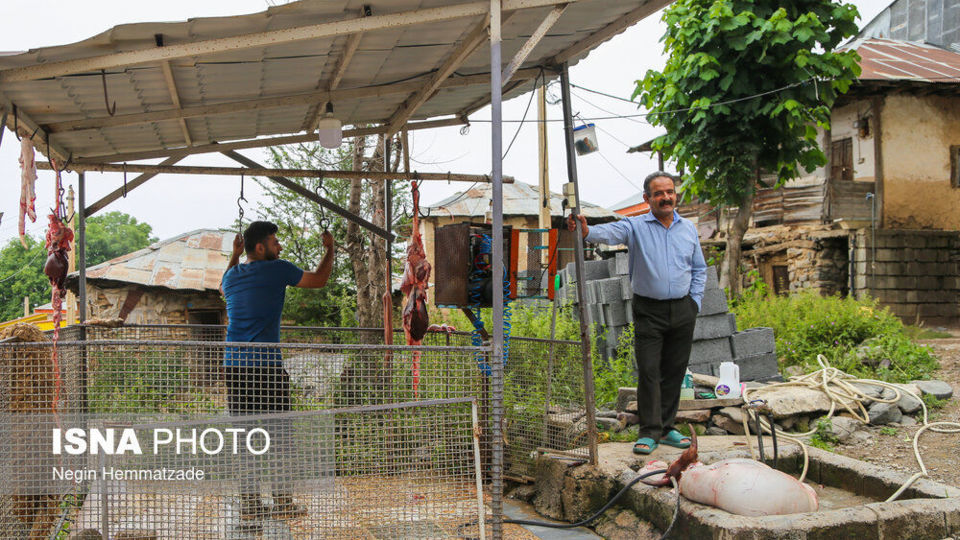 دِلیر، تجربه چهار فصل در یک روز