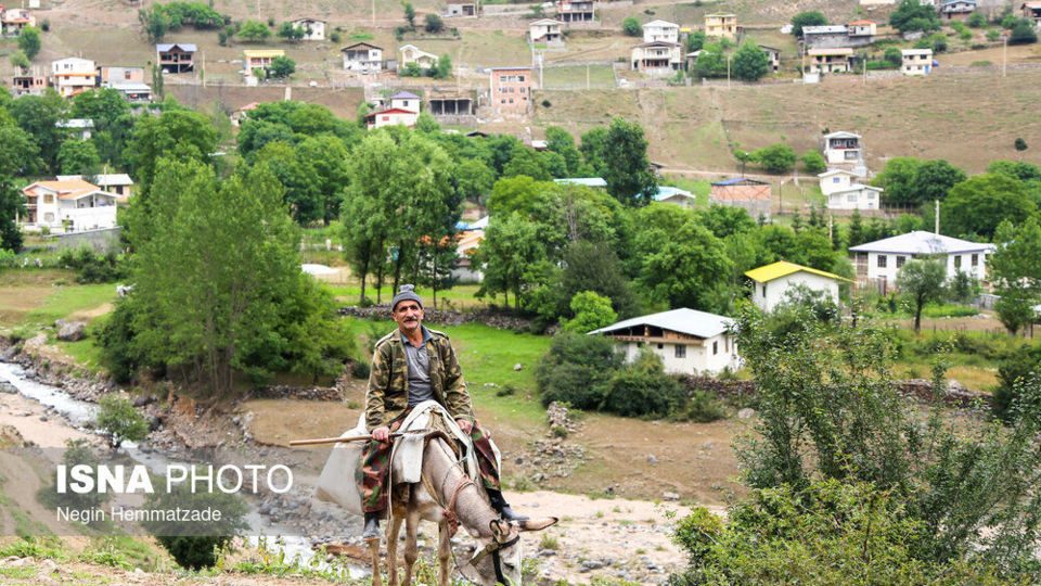دِلیر، تجربه چهار فصل در یک روز