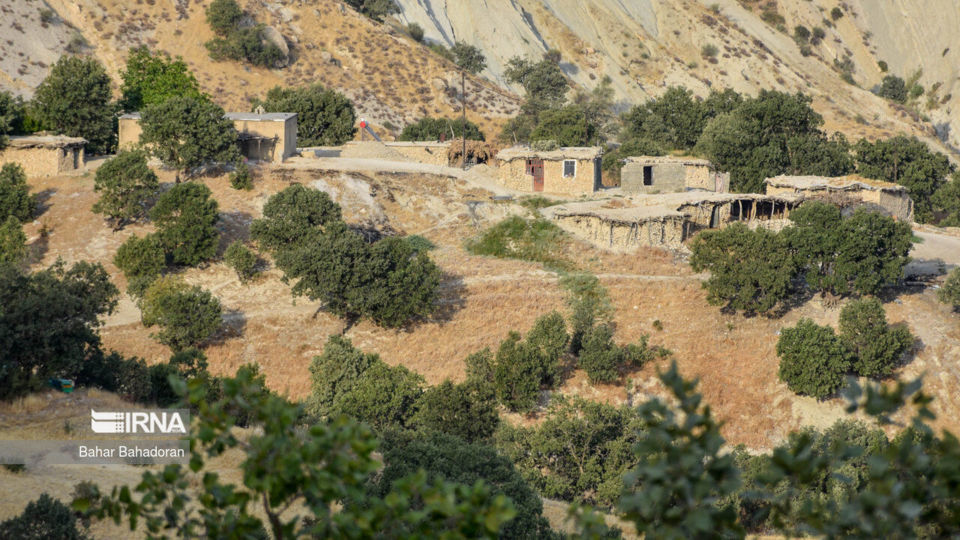 تنگ تامرادی در یاسوج