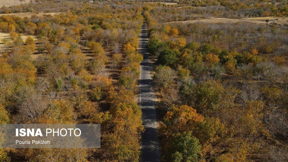 ایران زیباست؛ خزانِ همدان