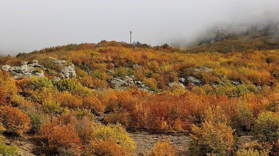 طبیعت پاییزی - گیلان