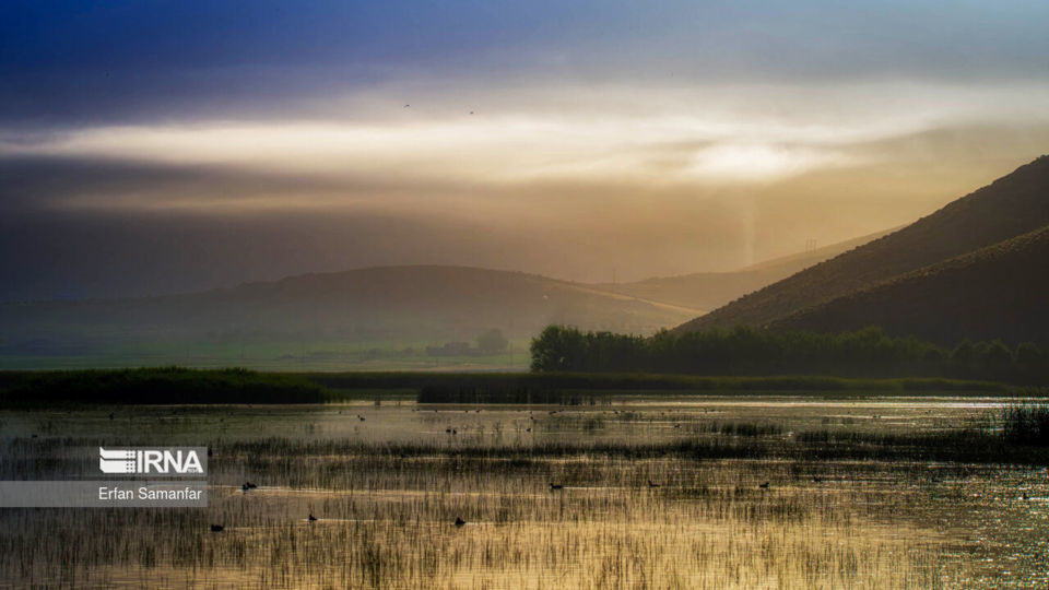تالاب بین المللی گندمان