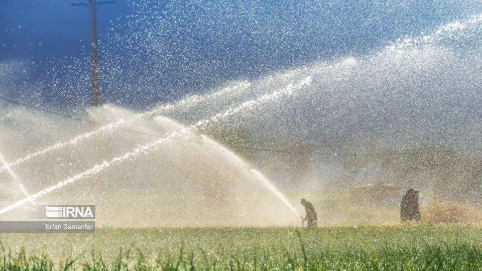 تالاب بین المللی گندمان