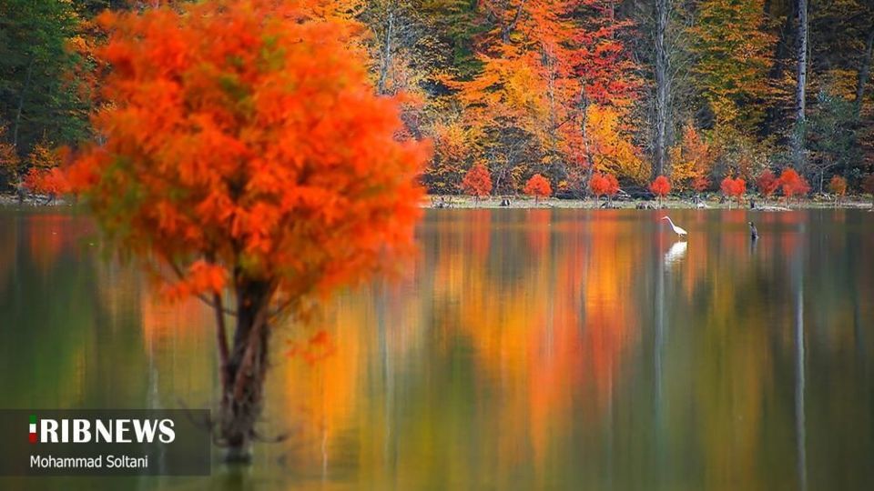 طبیعت مازندران در پاییز هزار رنگ