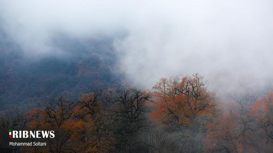 طبیعت مازندران در پاییز هزار رنگ