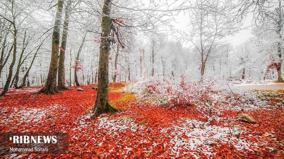 طبیعت مازندران در پاییز هزار رنگ