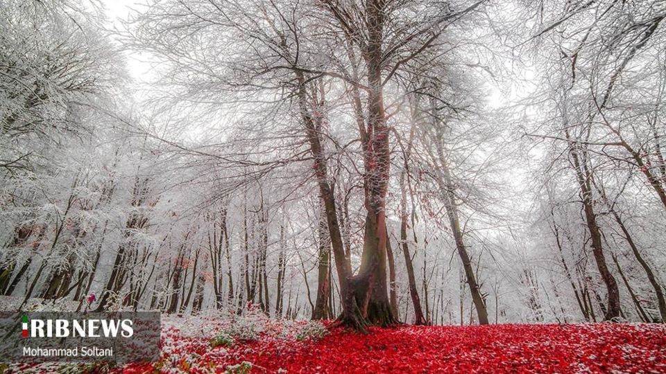 طبیعت مازندران در پاییز هزار رنگ