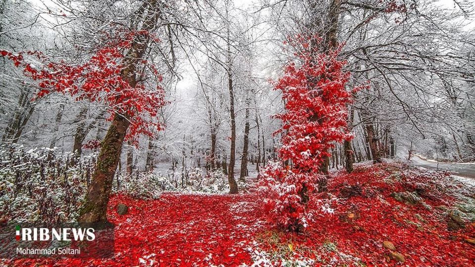 طبیعت مازندران در پاییز هزار رنگ