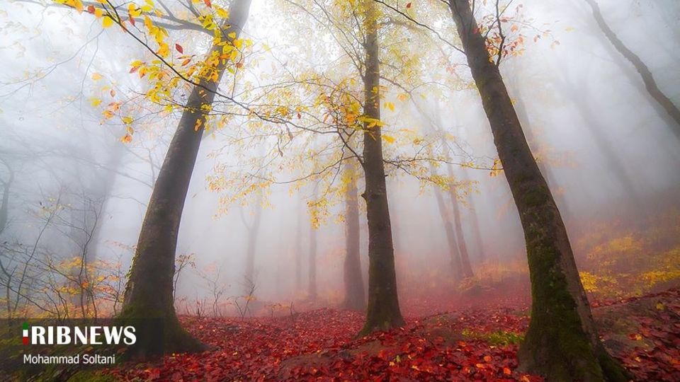 طبیعت مازندران در پاییز هزار رنگ