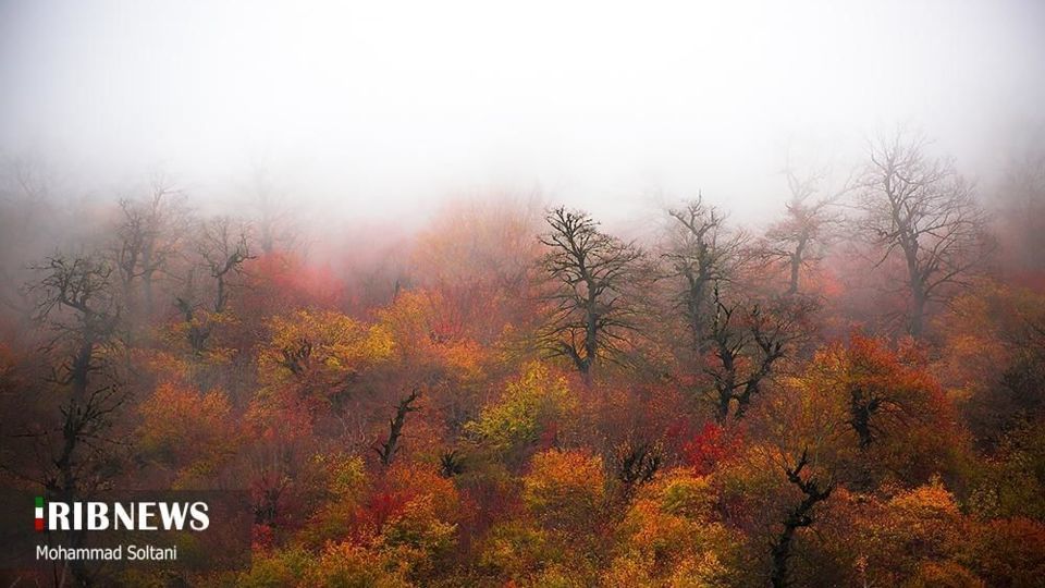 طبیعت مازندران در پاییز هزار رنگ