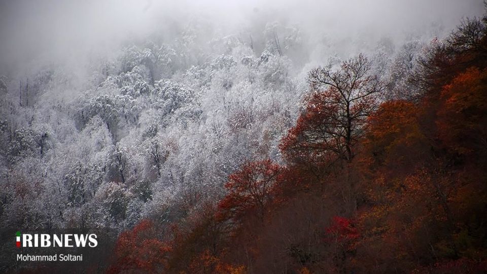 طبیعت مازندران در پاییز هزار رنگ