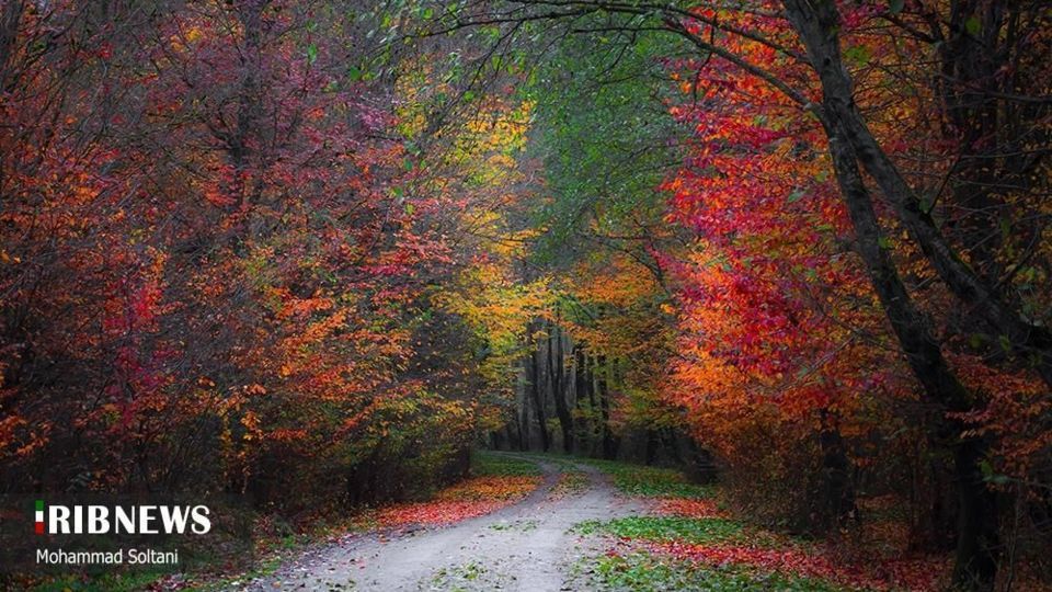 طبیعت مازندران در پاییز هزار رنگ
