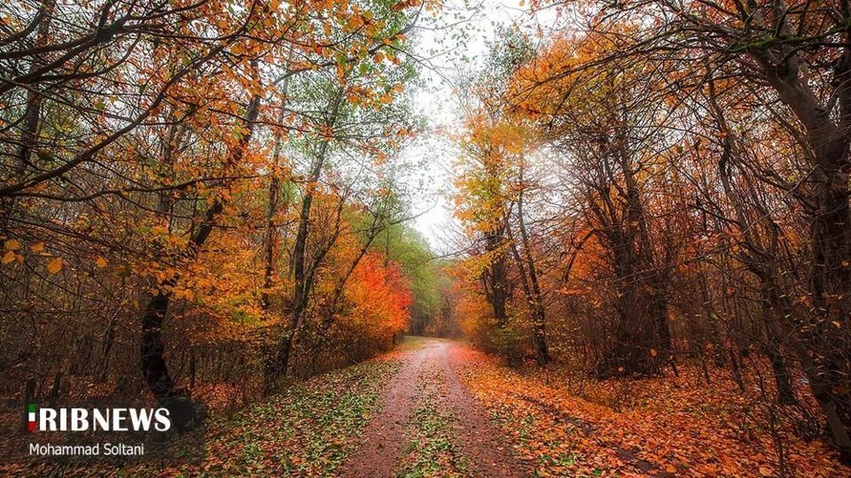 طبیعت مازندران در پاییز هزار رنگ
