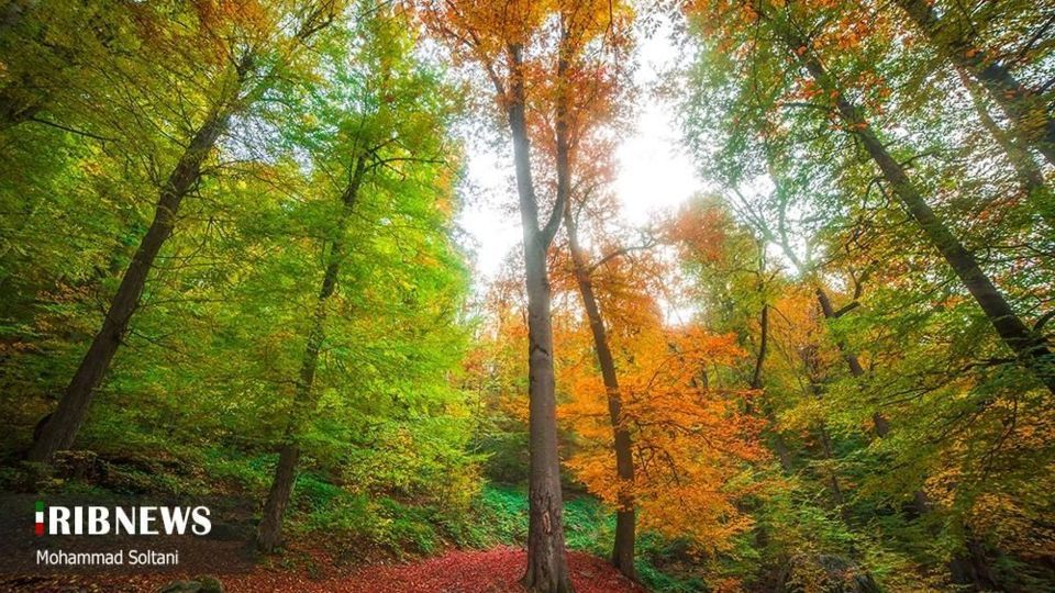 طبیعت مازندران در پاییز هزار رنگ