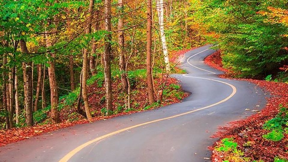 طبیعت مازندران در پاییز هزار رنگ