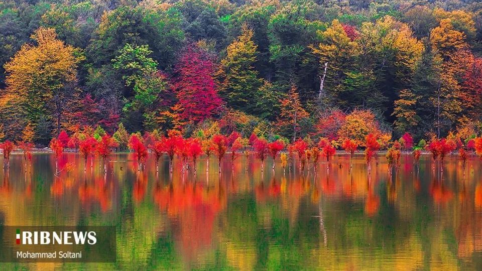 طبیعت مازندران در پاییز هزار رنگ