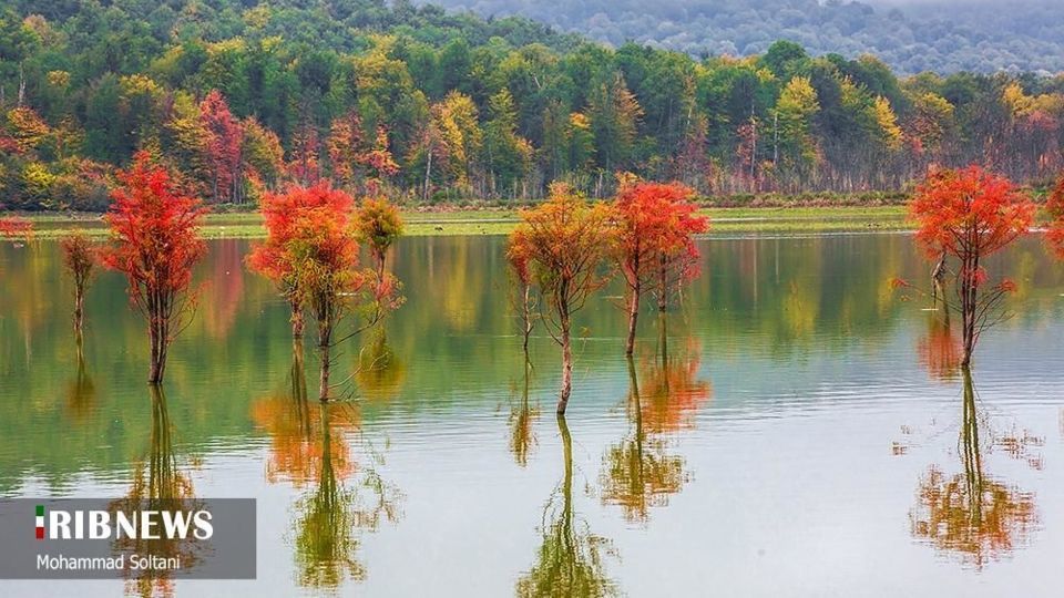 طبیعت مازندران در پاییز هزار رنگ